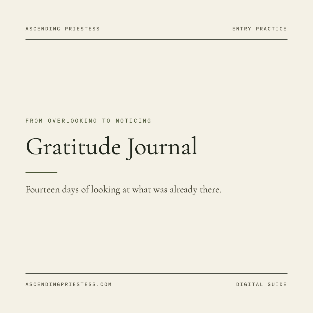 GRATITUDE JOURNAL