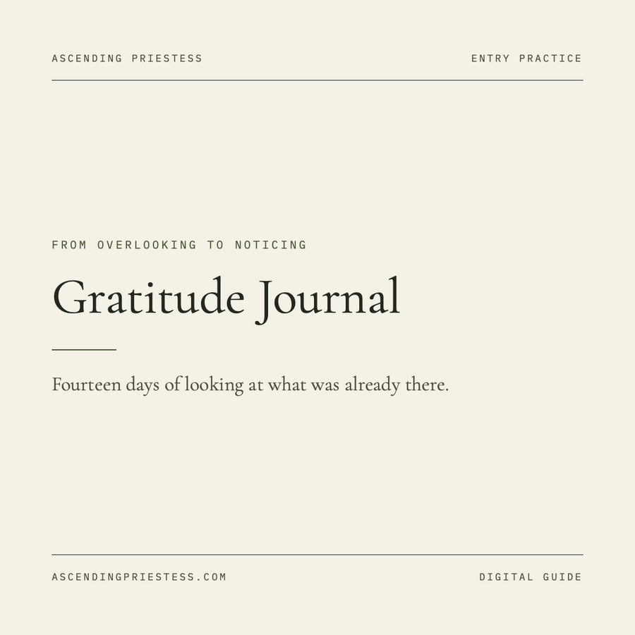 Gratitude Journal digital download cover