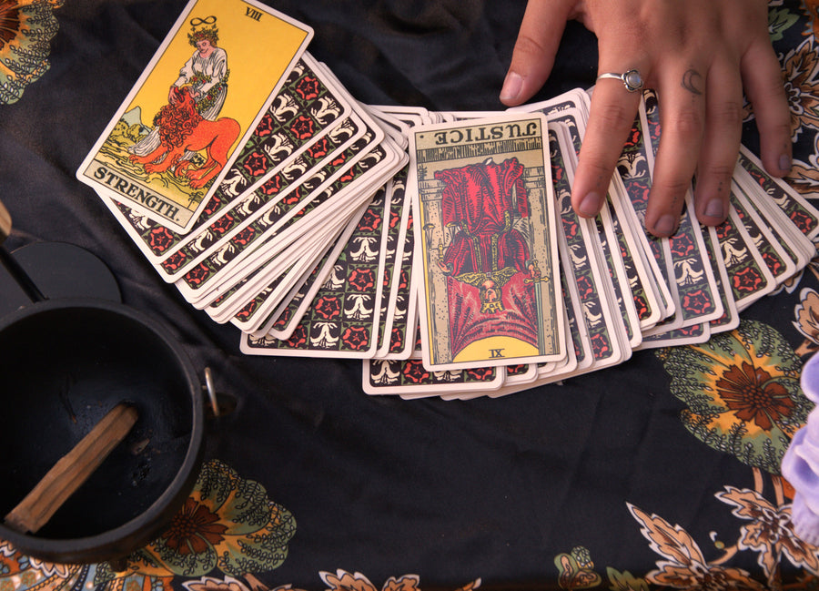 Briaa reading tarot cards outdoors