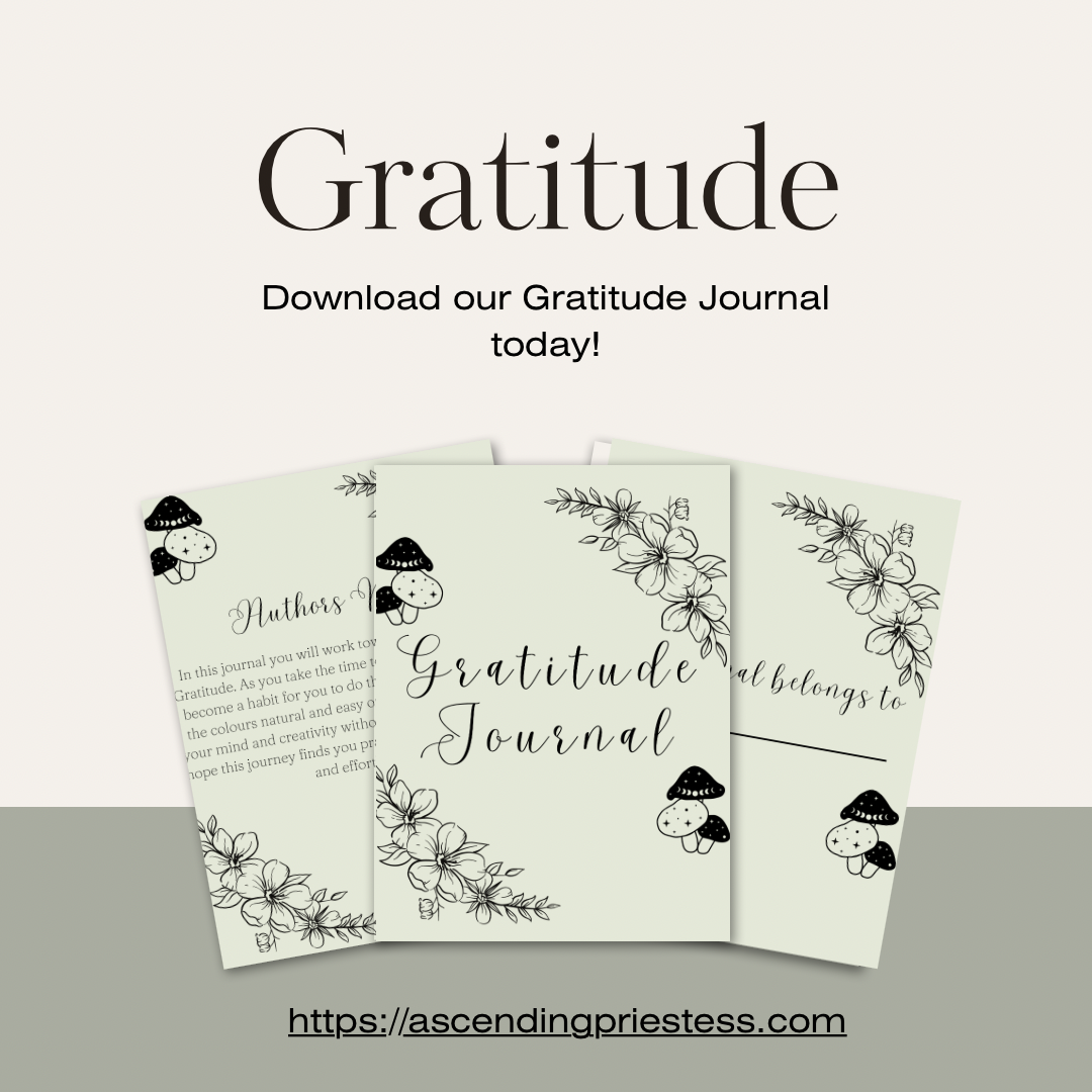 Gratitude Journal